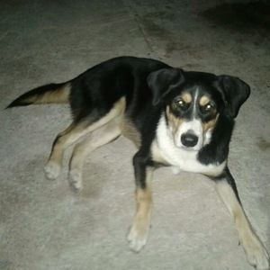 Meet your Posher, Mary lou